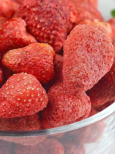 Fresh strawberries, washed slicked and freeze dried for just for you. These are great for camping, backpacking, snacking or adding flavor to yogurt or cereal. Lemon Cheese, Freeze Dried Fruit, Snack Items, Fresh Strawberries, Healthy Fruits, Freeze Dried, Dried Fruits, Freeze Drying, Fresh Strawberry