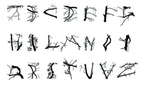 tree Typography by francebu, via Flickr Natural Typography, Tree Typography, T Alphabet, Branches Of Trees, Tree Project, Doodle Ideas, Hand Lettering Alphabet, Collage Art Mixed Media, San Martin