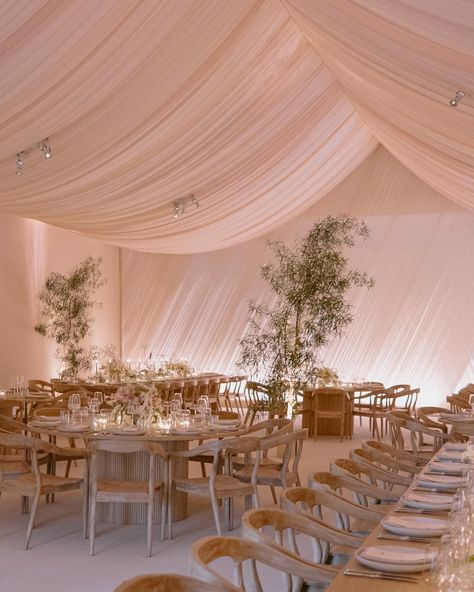 Draping Ballroom Wedding, Draped Wedding Decor, Wedding Lights Ceiling, Indoor Wedding Drapery, Indoor Draping Wedding, Drape Wedding Decor, Draped Wedding Reception, Drapery Wedding Decor, Wedding Venue Draping