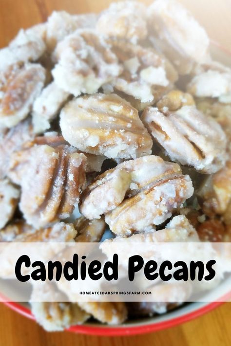 Candy Pecans, Make Sour Cream, Appetizer Dessert, Toffee Bars, Sour Cream Recipes, Cream Candy, Dessert Bites, Nut Recipes, Pecan Recipes