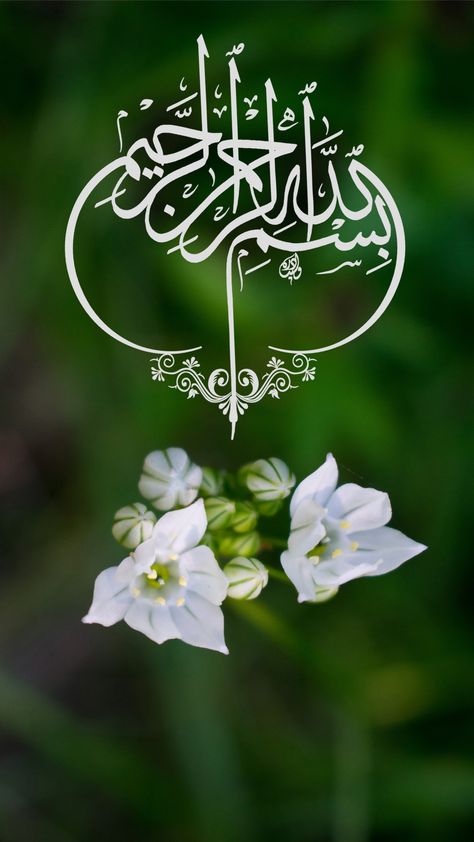 Calligraphy of Bismillah with Nature Background Bismillah Calligraphy Wallpapers, Bismillah Wallpaper, Bismillah Calligraphy, Calligraphy Wallpaper, Islamic Wallpapers, Calligraphy Background, Islamic Holidays, Circle Mehndi, Islamic Wallpaper Hd