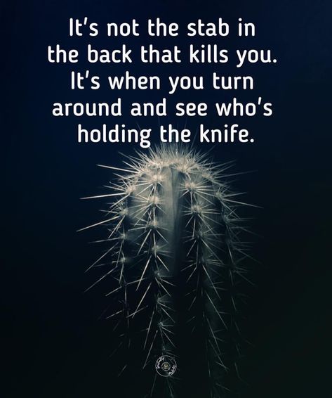 Stab In The Back, Cold Quotes, Back Quotes, Evil Person, Stoicism Quotes, Life Quotes Pictures, Psychology Facts, Quotable Quotes, Real Quotes