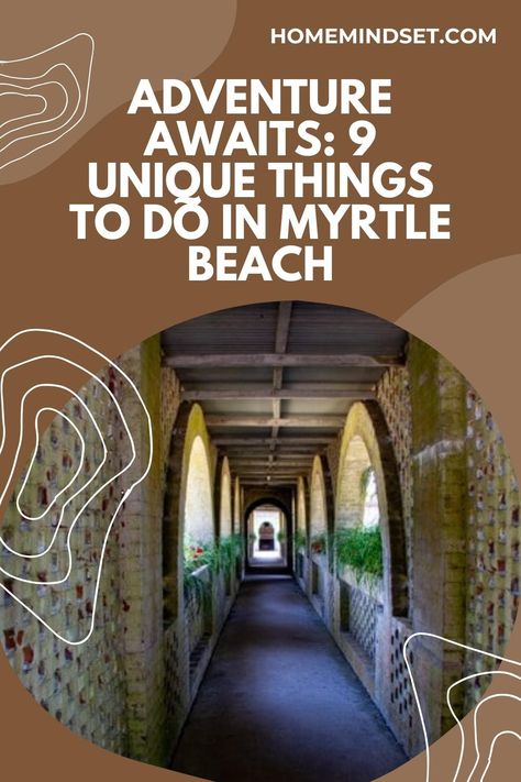 Adventure beckons in Myrtle Beach! Explore 9 unique things to do, ensuring a dynamic and exciting experience along the beautiful coastline. Things To Do In Myrtle Beach Sc, Myrtle Beach Things To Do, Myrtle Beach Trip, Beautiful Coastline, South Carolina Beaches, Beach South Carolina, Murrells Inlet, Pawleys Island, Myrtle Beach South Carolina