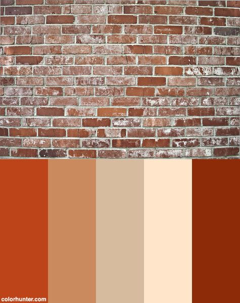 Bricks Color Scheme from colorhunter.com Paint Colors That Go With Brown Tile, Exposed Brick Walls Exterior, Exterior Wall Finishes, Brick Palette, Bricks Color, Bungalow Extension, Wall Color Schemes, Wall Color Combination, Best Interior Paint