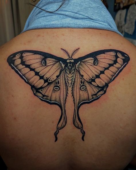 Luna moth for Marisa's first tattoo! Absolutely love the placement on this, middle upper back tattoos are so lovely. 🦋 Moth Wings Back Tattoo, Moth Tattoo On Back, Hawk Moth Tattoo, Atlas Moth Tattoo, Luna Moth Tattoo Design, Moth Tattoos For Women, Luna Moth Tattoos, Moth Back Tattoo, Lunar Moth Tattoo Design