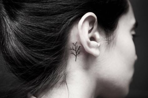 Tiny tree tattoo behind the right ear. Paintnite Ideas, Tiny Tree Tattoo, Inner Ear Tattoo, Tattoo Behind Ear, Tattoo Tiny, Read Quotes, Tiny Tree, Dandelion Tattoo, Presentation Ideas