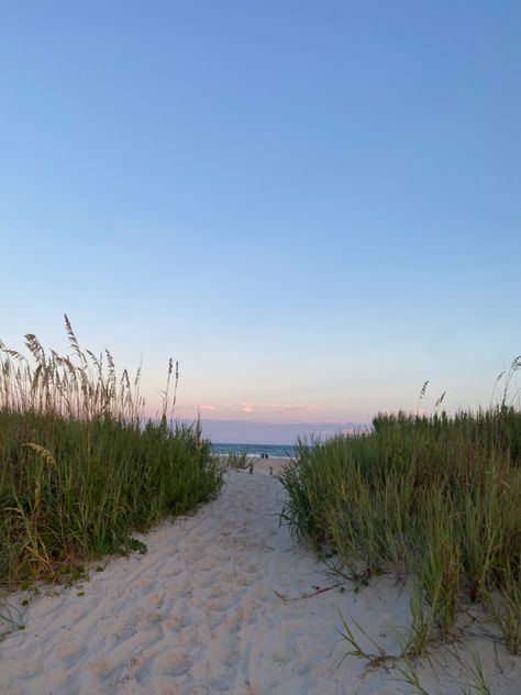 emerald isle north carolina beach grass Mallory Aesthetic, North Carolina Aesthetic, Obx North Carolina, Ocean Collage, Emerald Isle North Carolina, Emerald Isle Nc, Beach Path, North Carolina Beaches, Beach Grass