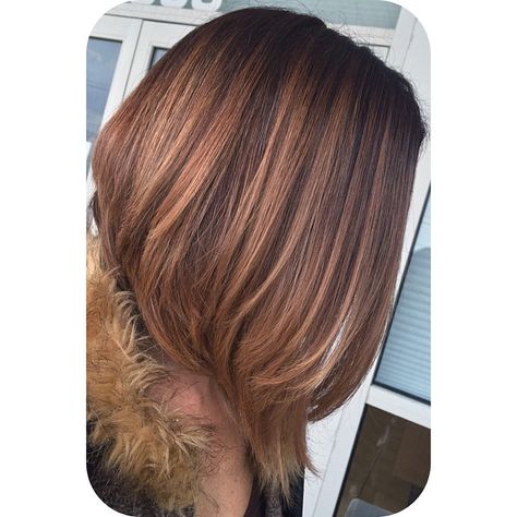 Carrie's Cool Mahogany root blended to Rose Gold, fun to do something a little different  #salon202 #paulmitchell #balayage #rosegold #ombre #colormelt #bob Gold Balayage, Rose Gold Balayage, Color Melting, Paul Mitchell, Balayage Highlights, Do Something, Balayage Hair, Hair Ideas, Blending