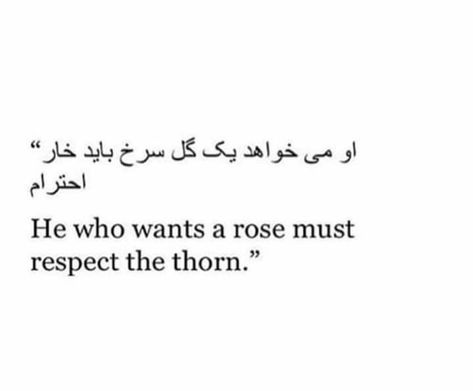 He Who Wants A Rose Must Respect The Thorn, Thorn Quotes, Qadar Quotes, Thorn Aesthetic, Pashto Quotes, Pashto Poetry, Long Love Quotes, Rose Quotes, Persian Language