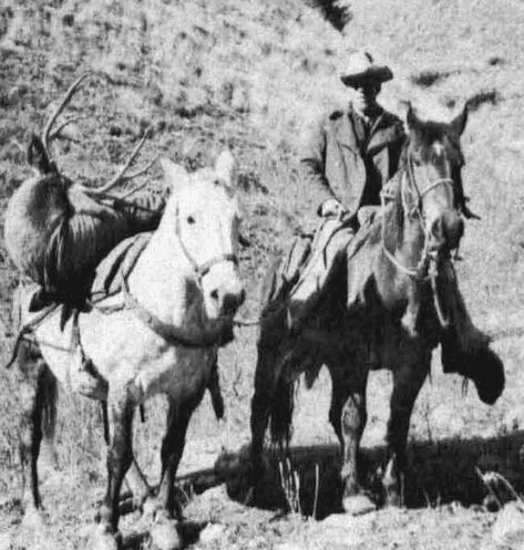 The buck mule deer that Keith hit twice out of four shots at over 600 yards, using the S & W 44 Magnum. Copper Wedding Arch, Lost City Of Z, 44 Magnum, Maligne Lake, Spanish Conquistador, Mule Deer, Mountain Travel, Fall Travel, Lost City