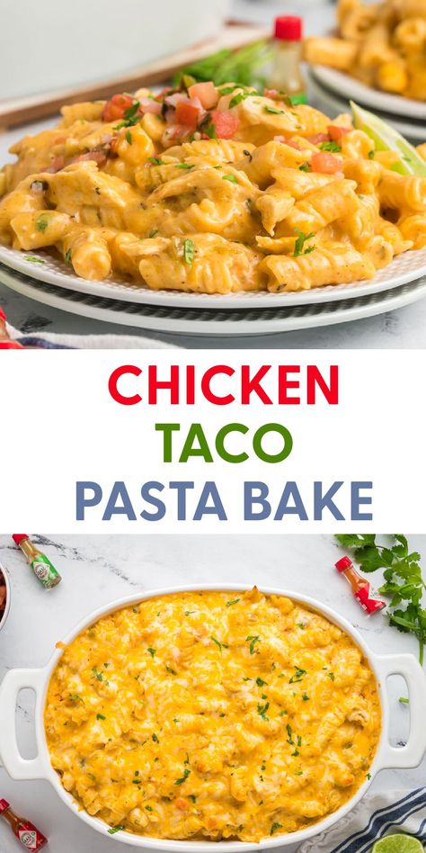 Chicken Enchiladas Pasta, Chicken Taco Mac And Cheese, Chicken Taco Alfredo Pasta, Taco Chicken Pasta Recipes, Mexican Chicken Pasta Casserole, Chicken Taco Pasta Casserole, Rotisserie Chicken Pasta Bake, Ground Chicken Pasta Bake, Chicken Taco Pasta Bake