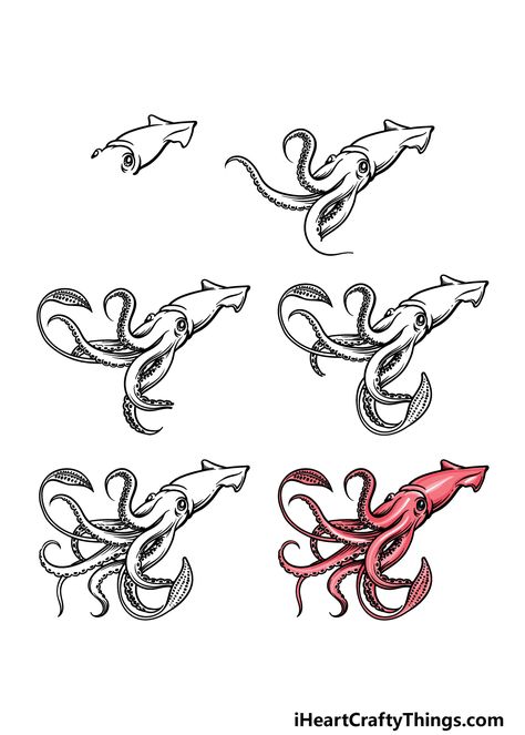 Squid Drawing Reference, Simple Squid Tattoo, Colossal Squid Drawing, How To Draw A Squid, Squid Drawing Simple, Undersea Drawing, Squid Sketch, Squid Doodle, Squid Tattoo Design