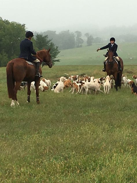 Hunting With Horses, Old Money Hunting Aesthetic, English Hunting Aesthetic, Fox Hunting Aesthetic, Old Money Hunting, Horse Hunting, Hunt Aesthetic, British Hunting, Hunting Aesthetic