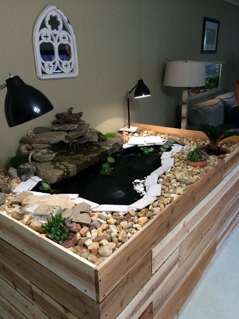 Small Indoor Turtle Pond, Indoor Aquatic Turtle Habitat, Aquatic Turtle Enclosure Indoor, Turtle Terrarium Indoor, Turtle Indoor Pond, Half Water Half Land Turtle Tank, Semi Aquatic Terrarium, Water Turtle Tank Ideas Indoor, Land Turtle Habitat Ideas