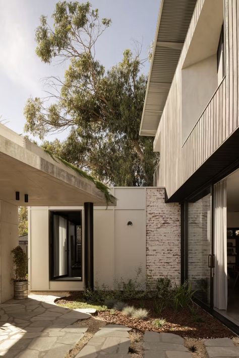 Photo 4 of 20 in A Bunker-Esque Home in Western Australia Is a Fortress Against Whipping Winds - Dwell Concrete Fences, Back Yard Gardens, Pavers Patio, Outdoor Magazine, Staircase Outdoor, Garden Pavers, Farmhouse Scandinavian, Dwell Magazine, Wood Fences