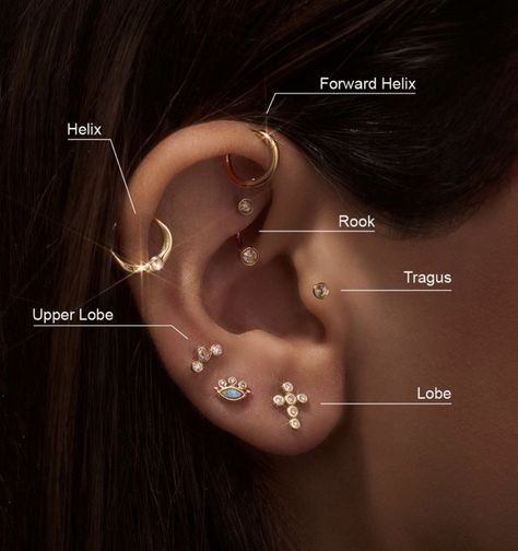 Daith And Forward Helix Piercing Together, Forward Helix Piercing Ideas, Double Forward Helix Piercing, Piercing Guide, Forward Helix Piercing, Forward Helix, Helix Piercing, Tragus, Helix