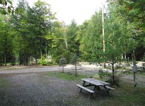 Campground resort advice and tips Campground Design Ideas, Campground Owner Ideas, Diy Campground Ideas, Campground Layout Ideas, Starting A Campground Business, Owning A Campground, Rv Park Design Plans, Campground Business, Campground Resort