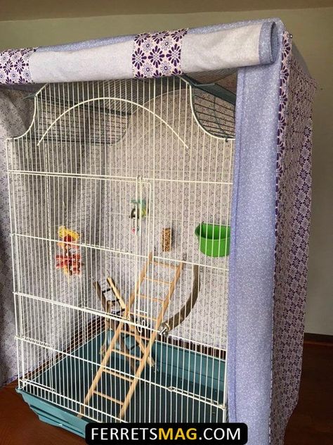 Budgie Care, Budgie Cage, Diy Bird Cage, Pet Bird Cage, Bird Cage Covers, Budgies Bird, Large Bird Cages, Bird Cage Accessories, Diy Bird Bath