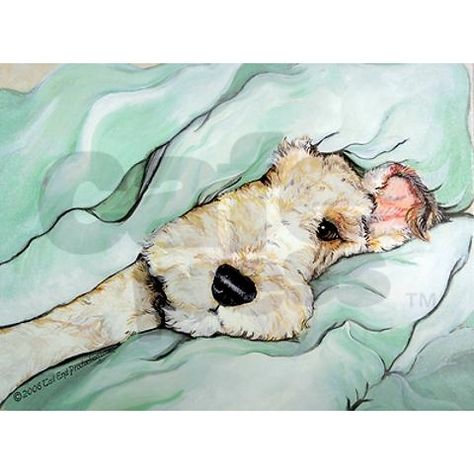 Wirehaired Fox Terrier, Lakeland Terrier, 강아지 그림, Fox Terriers, Wire Fox Terrier, Airedale Terrier, Arte Inspo, Dog Illustration, Fox Terrier