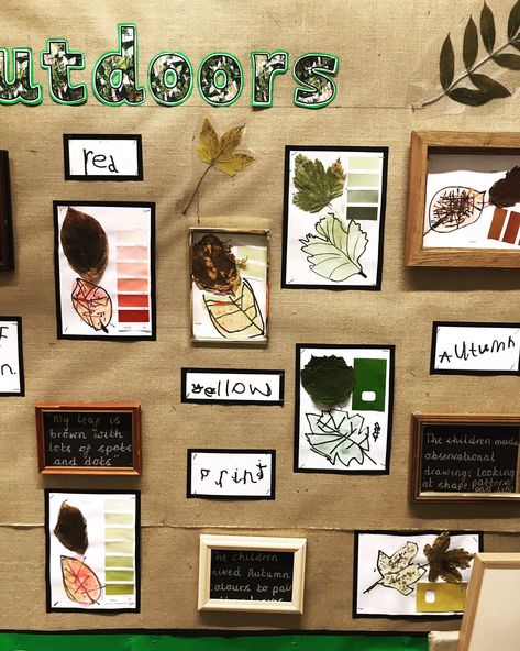 X Outdoor Learning Display, Tipi Teachings, Eyfs Autumn, Autumn Eyfs Activities, Curiosity Approach Eyfs, Pedagogical Documentation, Autumn Nursery, Autumn Eyfs, School Reception