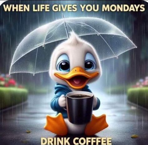 Morning Coffee Funny, Monday Greetings, Rainy Monday, Funny Good Morning, Monday Morning Quotes, Funny Day Quotes, Good Morning Happy Monday, Morning Memes, Good Morning Funny Pictures