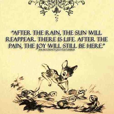 After The Rain, The Sun Will Reappear. There Is Life After The Pain, The Joy Will Still Be There. Bambi Quotes, A Quote, The Words, Disney, Quotes, Animals