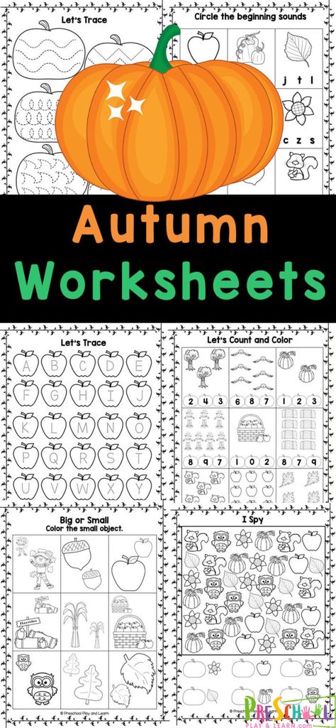 Make practicing math and litearcy skills fun for kids by using these free Autumn worksheets for preschoolers! These fall worksheet for preschool combine cute clipart with important pre-k skills for no-prep educational activities kids will beg to do! Cooking Class For Preschoolers, Free Thanksgiving Preschool Printables, Fall Ideas For Kindergarten, Kindergarten Fall Worksheets Free Printables, Preschool Challenge Activities, Fall Graphing Preschool, October Preschool Worksheets Free, Fall Playdough Activities, Fall Worksheets For Kindergarten Free