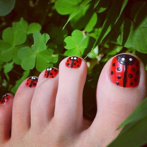 Lady Bug Toenail, Ladybug Toe Nails, Painted Toes Toenails, Cute Pedicure Designs, Bug Nails, Ladybug Nail Art, Ladybug Nails, Toenail Art Designs, Cute Pedicures