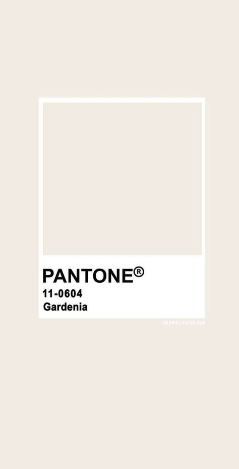 Color Palette For Home, Palettes Color, Pantone Palette, Pantone Colour Palettes, Spring Palette, Brand Color Palette, Color Palette Design, Colour Board, Colour Palettes