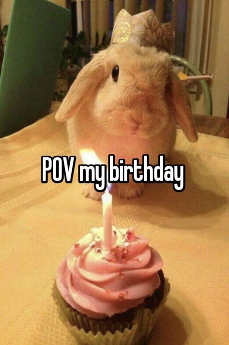 Im always without friends on my birthday bc im always on vacation 😭 It’s My Birthday Funny, Pov Its My Birthday, Birthday Discord Pfp, If Your Reading This Its My Birthday, Its My Birthday Meme, Things I Want For My Birthday, Birthday Mood Pics, My Birthday Meme, Lowkey Birthday