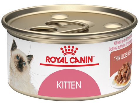 Best food for Siberian cats | Figg and Prowle Siberian Cats Cats Tips, Kitten Formula, Cat And Kitten, Cat Nutrition, Food Meat, Canned Cat Food, Kitten Food, Nutrition Diet, Royal Canin