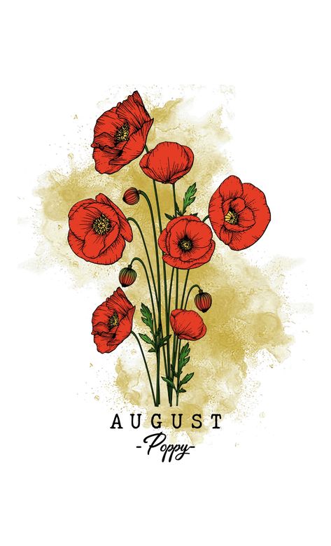 August Flower Drawing, August Poppy, August Illustration, Month Drawings, August Art, Poppies Botanical Illustration, Birth Month Flower Watercolor, Red Poppy Illustration, Poppy Flower Botanical Illustration