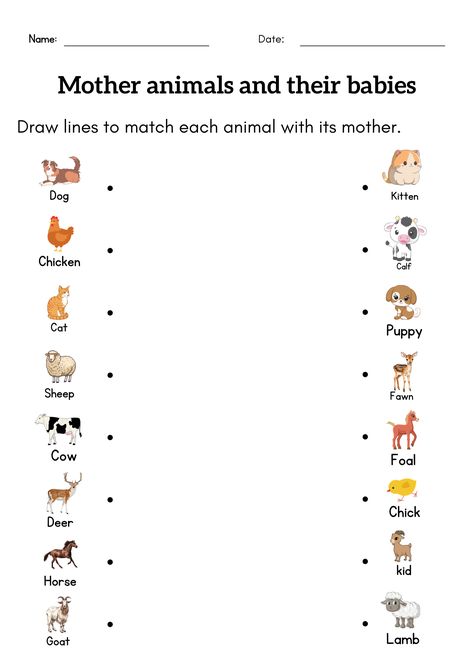 farm animals and their babies matching worksheet Help children understand that baby animal names can differ from their mother Mammals Worksheets For Kids, Baby Farm Animals Preschool Activities, Animals Needs Worksheet, Mammal Activities For Preschool, Baby Animal Activities Preschool, Animals And Their Babies Worksheet, Animal Lesson Plans, Farm Animals And Their Babies, Young Ones Of Animals