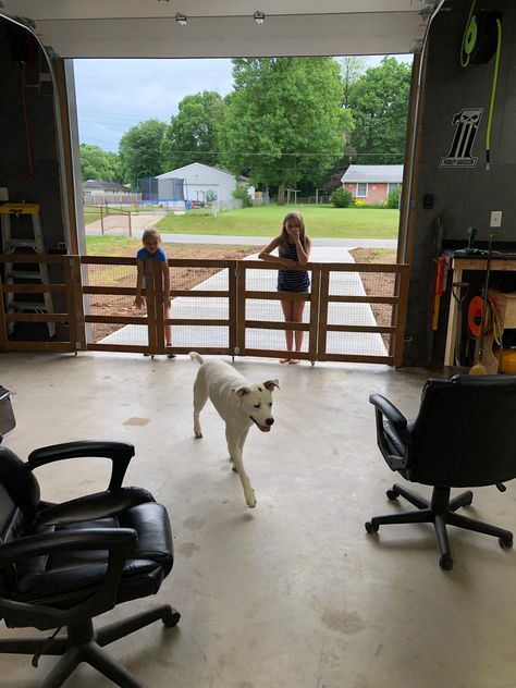 Dog gate Room Divider Diy, Diy Dog Run, Diy Gate, Dog Gates, Indoor Dog Kennel, Kennel Ideas, Fence Designs, Privacy Fence Designs, Dog Room