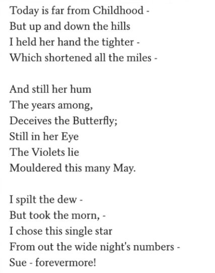 Emily Dickinson And Sue, Emily Dickinson Letters To Susan, Emily Dickinson Sue, Emily Dickinson Sapphic Poems, Emily Dickinson Quotes To Sue, Sue Forevermore, Split The Lark Emily Dickinson, Emily Dickinson Poems Love, Emily Dickinson Love Poems