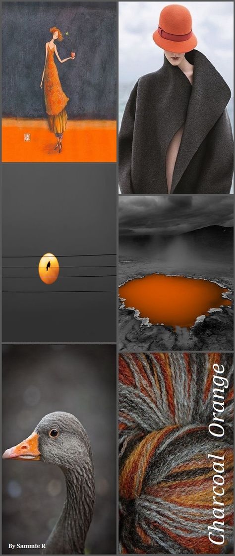 Charcoal and Orange By Sammie R Burnt Orange And Black Color Palette, Charcoal Grey Color Palette, Dark Orange Colour Palette, Orange Grey Black Color Palette, Black And Orange Colour Palette, Grey And Orange, Orange Monochrome Color Palette, Colours That Go With Grey, Coral Colour Palette