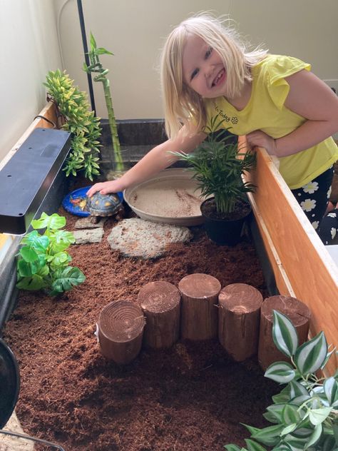 Red foot tortoise table. We built it and put feet on it so its easy to carry around and looks cute Tortoise Water Bowl, Red Footed Tortoise Habitat Indoor, Red Foot Tortoise Enclosure, Russian Tortoise Habitat Indoor, Tortoise Enclosure Indoor, Redfoot Tortoise, Tartaruga Habitat, Tortoise Cage, Turtle House