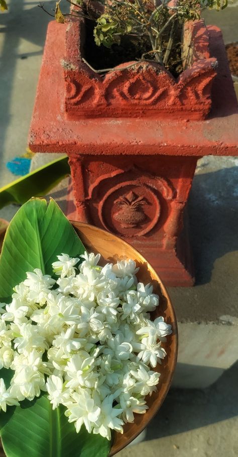 Mogra Hanuman Bhagwan, Mogra Flower, Flower Rain, Indian Aesthetic, Flowers, Quick Saves