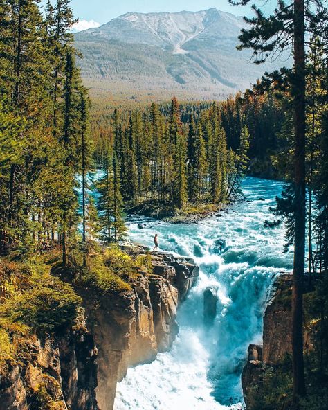 Best Things to do in Jasper National Park - Jasper National park hiking and Jasper National park camping guide for the ultimate Jasper National Park road trip through Alberta Canada. Don't miss Sunwapta Falls hike! One of our top favorite best hikes in Jasper National Park. See this unique waterfall that flows around an island. Sunwapta Falls Alberta Canada, Sunwapta Falls, Hiking Vacations, Jasper National Park Canada, Alberta Canada Travel, Jasper Alberta, Alberta Travel, West Coast Trail, Jasper National Park