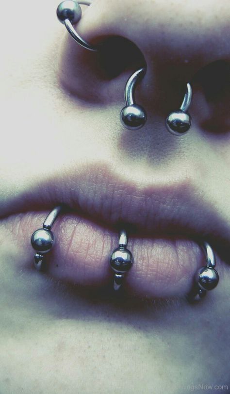 Emo Piercings, Body Modification Piercings, Snake Bite Piercing, Vertical Labret Piercing, Mouth Piercings, Vertical Labret, Mod Jewelry, Piercing Inspo, Face Piercings