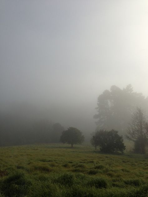 Rainy Field, Misty Field, Gloomy Sky, Foggy Weather, Misty Forest, Foggy Morning, Dark Soul, My Place, Scaffolding