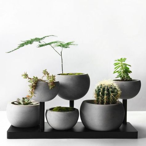 Ceramic Planters Outdoor, Ceramic Pots For Plants, Hanging Glass Planters, Gardening Pots, Decoration Beton, Ceramic Succulent Planter, Small Balcony Garden, Planter Indoor, Concrete Diy Projects