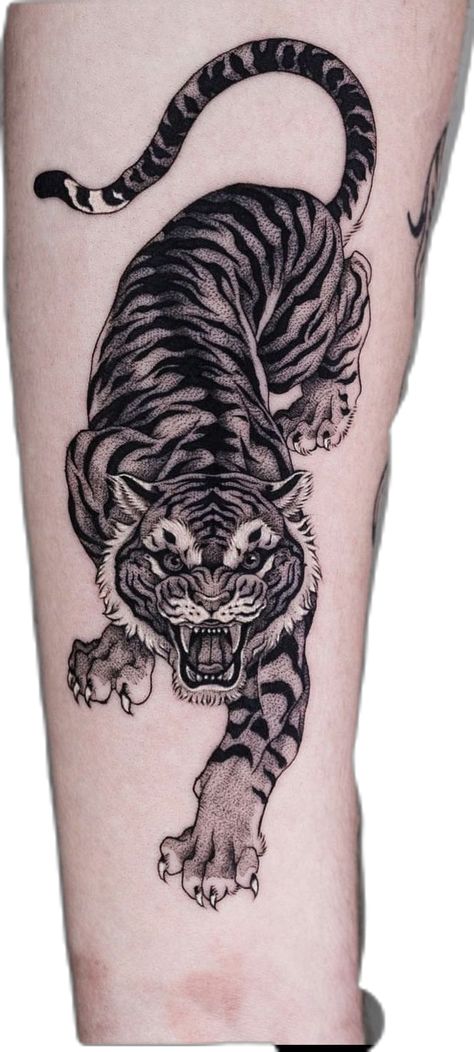 Crouching Tiger Tattoo, Lion And Tiger Tattoo, Indian Tiger Tattoo, Tiger Tattoo Shoulder, Tiger Snake Tattoo, Black And Grey Tiger Tattoo, Asian Tiger Tattoo, Mountain Lion Tattoo, Tiger Sleeve Tattoo