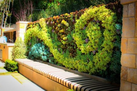 Known for being "self sufficient vertical gardens" living walls walls are popular for their beautiful and eco-friendly designs. Living walls can enhance a Wall With Plants, Vertical Garden Design, Living Walls, Desain Lanskap, Pergola Design, Walled Garden, Succulent Wall, Traditional Landscape, Wall Garden