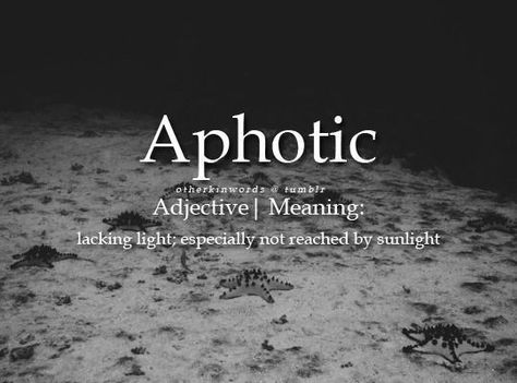 aphotic Word Of The Week, Master Thesis, Unique Words Definitions, Uncommon Words, Fancy Words, Weird Words, Unusual Words, Good Vocabulary, Rare Words