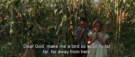 This election has me praying a lot! My prayers tend to go something like this: Forrest Gump Quotes, Forrest Gump 1994, The Craft Movie, Fresh Movie, Forest Gump, Best Movie Quotes, Cinema Quotes, Fina Ord, E Mc2