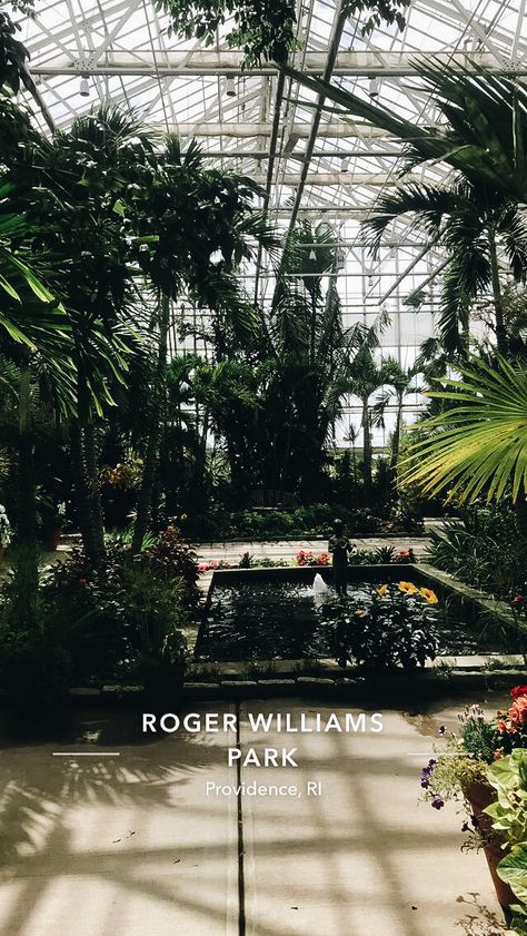 Roger Williams Park, Aesthetic Board, Sunday Funday, Botanical Garden, Family Time, Botanical Gardens, Plants