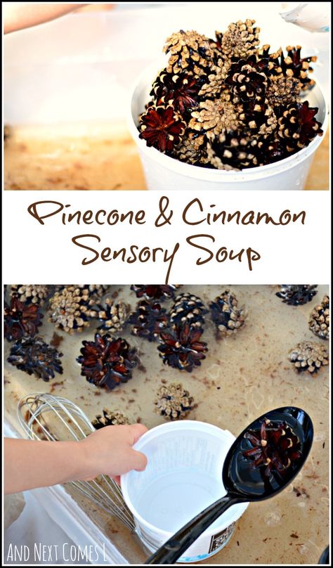 Scented water sensory play for toddlers and preschoolers using pinecones and cinnamon from And Next Comes L Water Sensory Play, Sensory Play For Toddlers, Sensory Tables, Fall Sensory Bin, Sensory Play Toddlers, Preschool Sensory, Sensory Tubs, Sensory Tub, Sensory Boxes