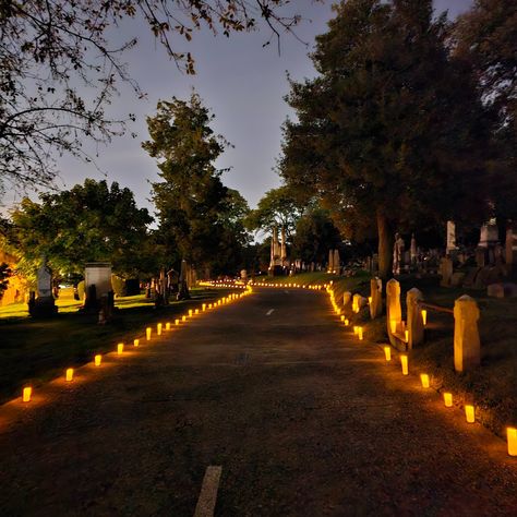 🌙💍 Embrace the Magic of a Spooky Wedding! 💍🌙 At Atypically Planned Events LLC, we specialize in enchanting, spooky weddings that thrill and captivate. Follow us for eerie elegance, chilling details, and all the inspiration you need to make your big day truly unforgettable! #SpookyWeddings #GothicGlam #FollowForInspo #UniqueLove #wedding #weddingdecor #weddinginspo #weddingideas #weddingplanner Cemetery Wedding, Spooky Wedding, Gothic Glam, Cemetery, Wedding Inspo, Event Planning, Big Day, Wedding Reception, The Magic