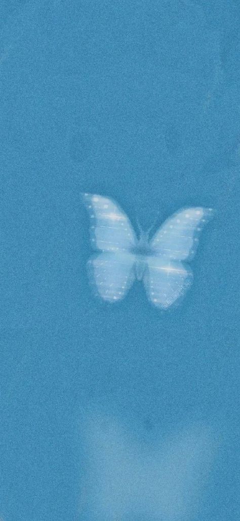 Vi Wallpaper, Baby Blue Wallpaper, Holly Blue, Blue Butterfly Wallpaper, Bright Wallpaper, Blue Aesthetic Pastel, Pretty Colors, Beautiful Landscape Wallpaper, Wallpaper For Your Phone